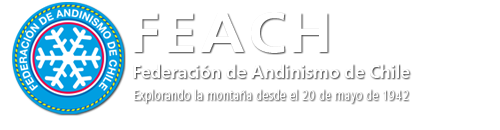 logo_feach